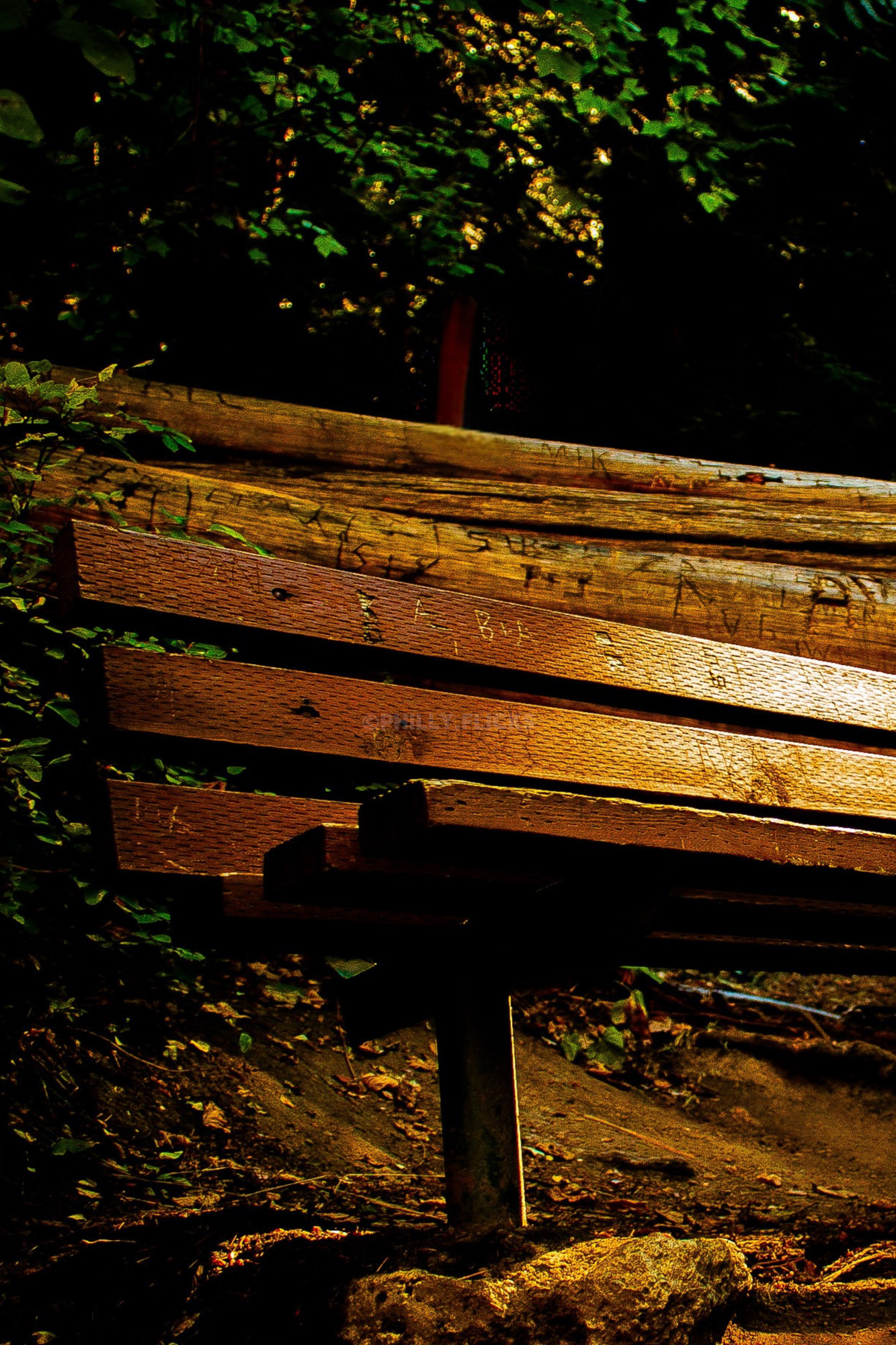 Featured photography
